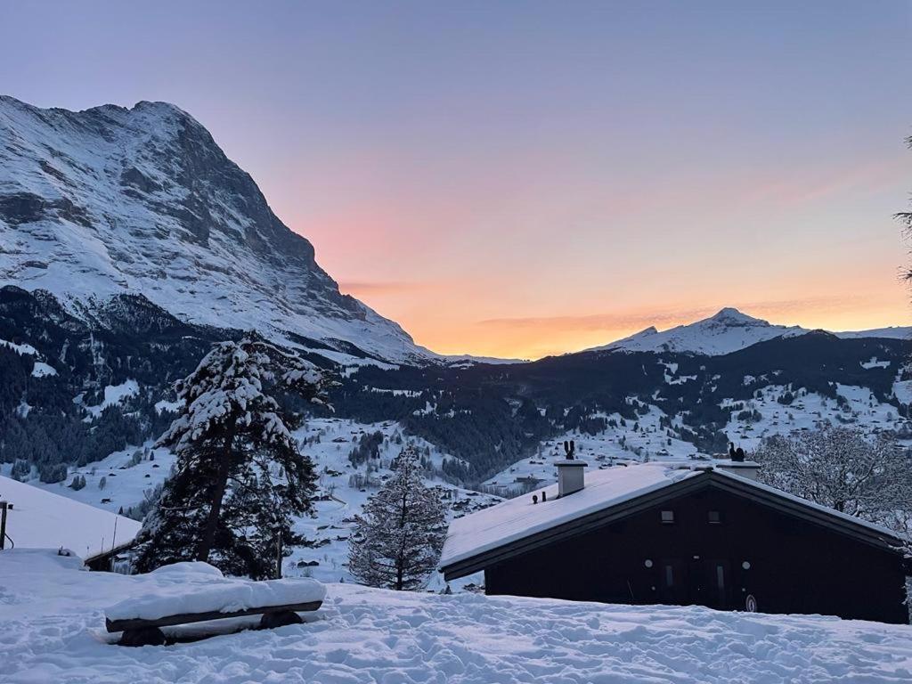 Eiger View Alpine Lodge 그린델발트 외부 사진